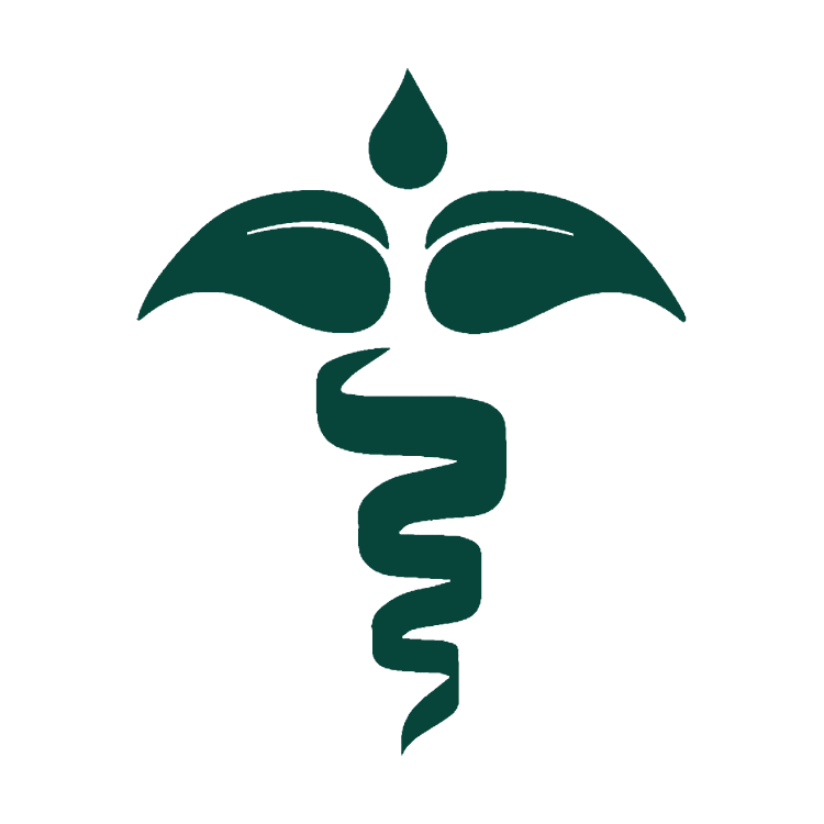 Holistic Approach Icon